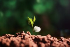 岳麓區(qū)網(wǎng)站開發(fā)公司從哪幾個方面選擇